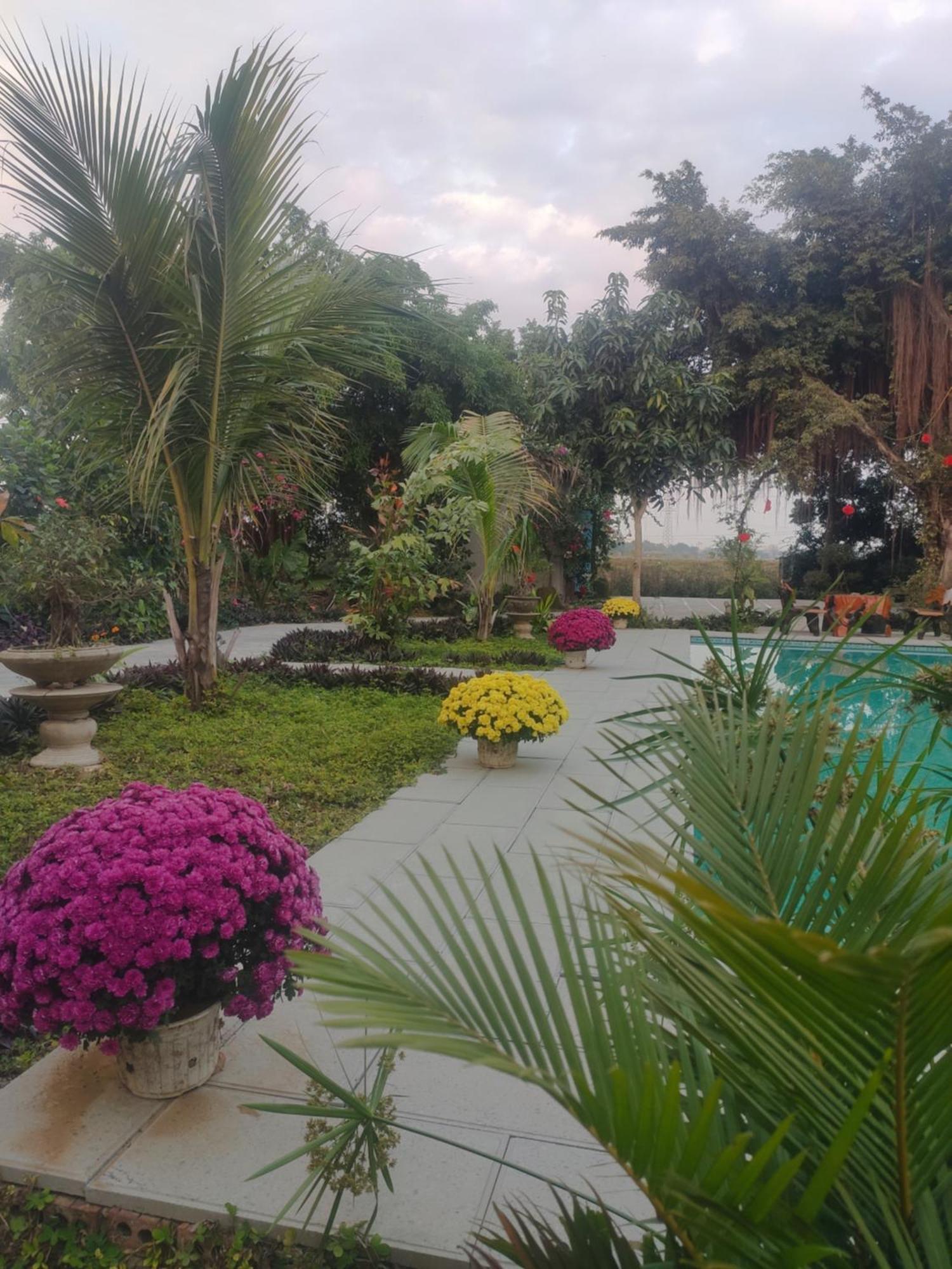 Tuyet'S Hostel Ninh Binh Exterior photo