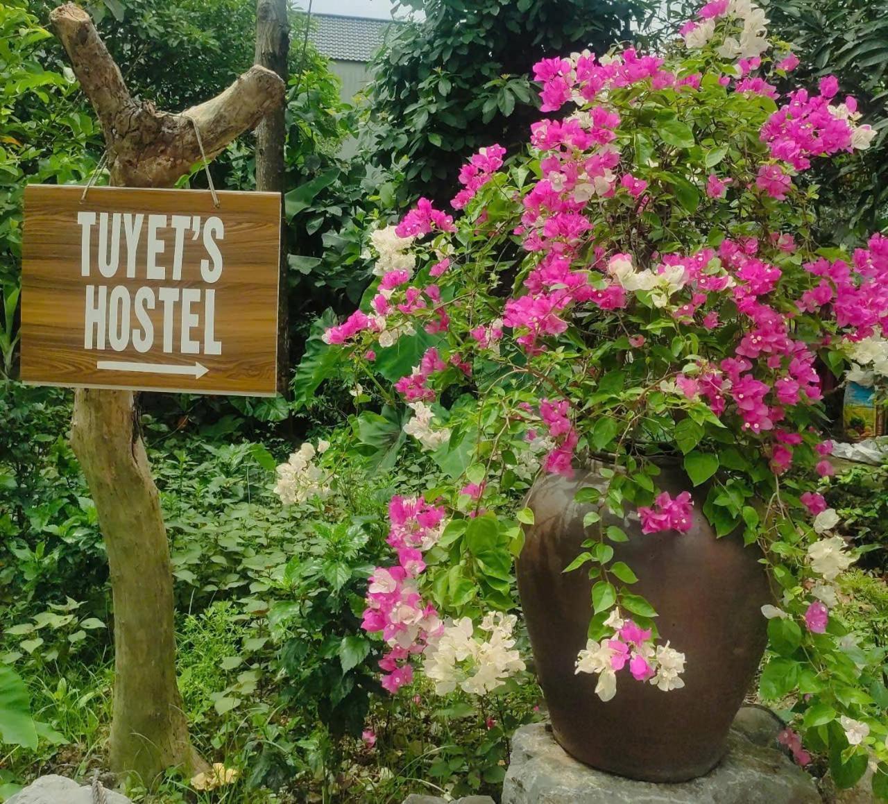 Tuyet'S Hostel Ninh Binh Exterior photo